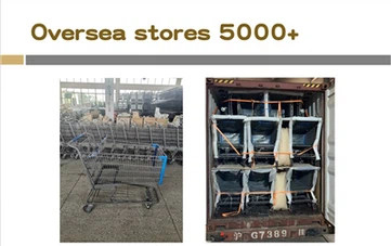 Serviamo più di 5000+ negozi in tutto il mondo.